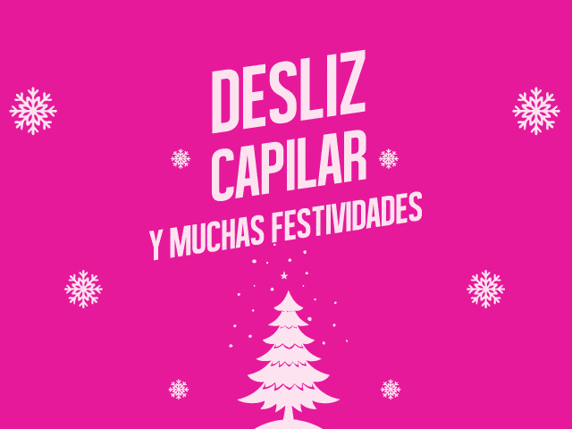 Licitación navideña (gif) - PGP
