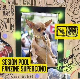 Sesión Pool