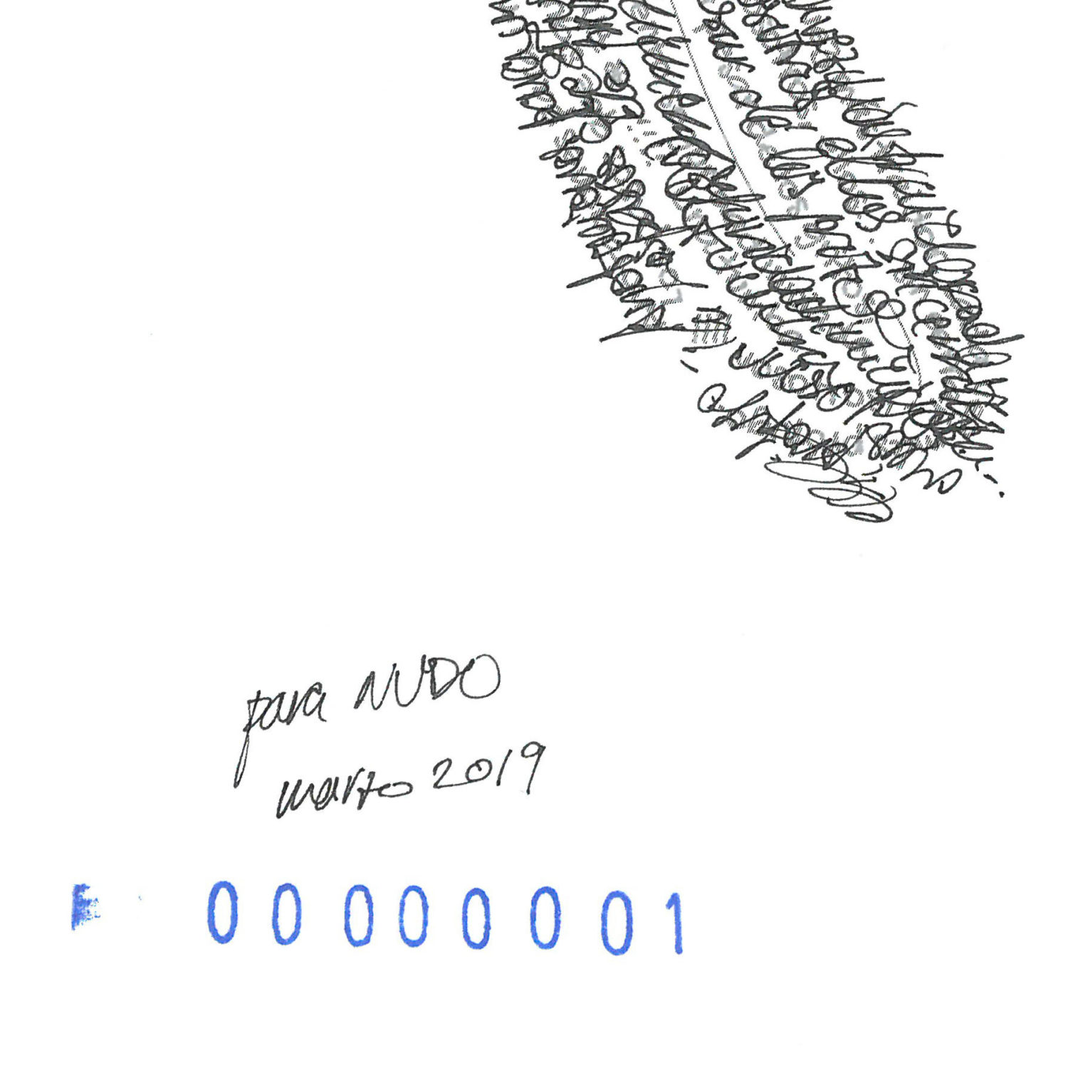NUDO 2019, festival de poesía visual.