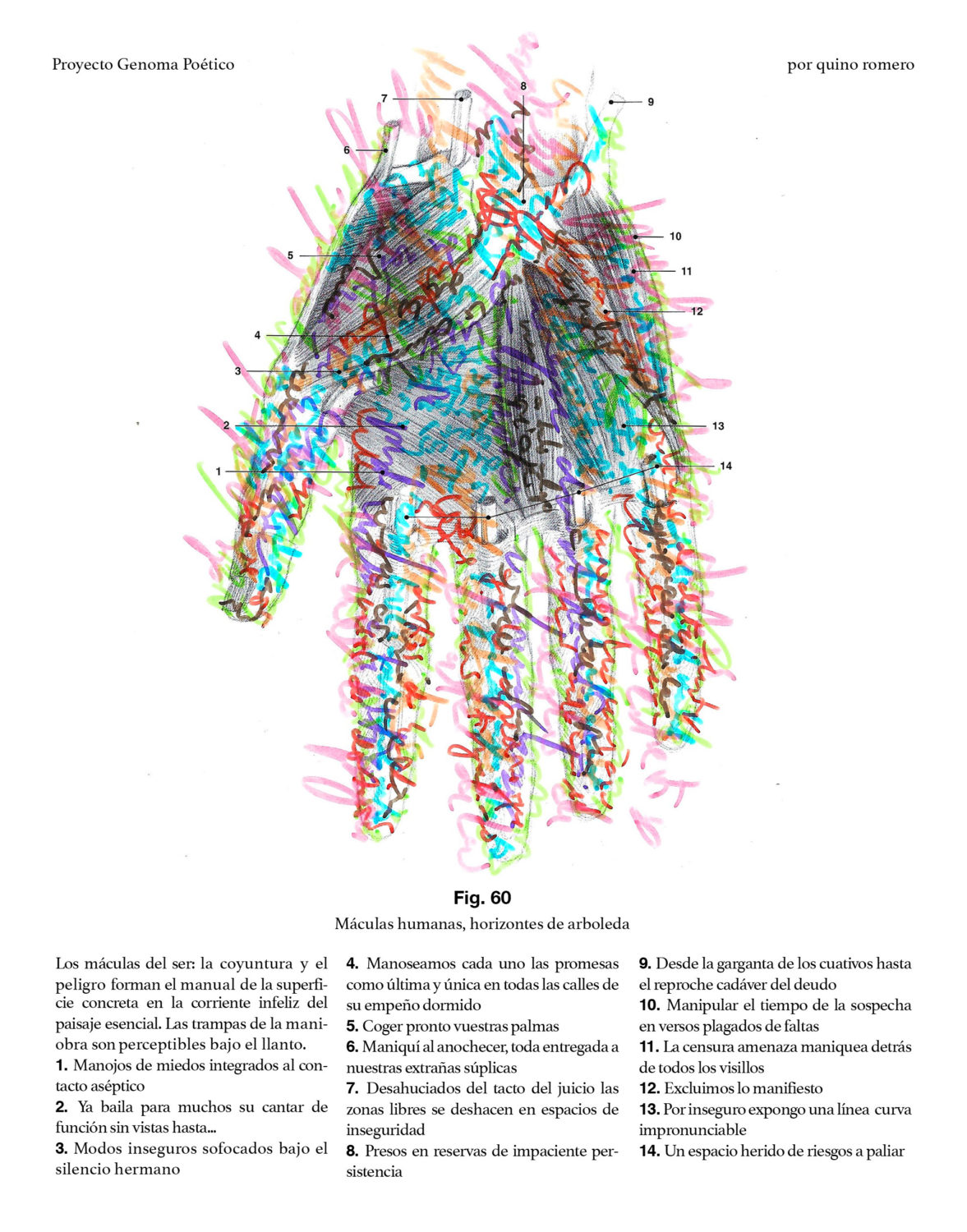 Fig. 60 - Máculas humanas, horizontes de arboleda